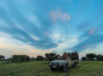 Mashatu Game Reserve: Blumenteppich