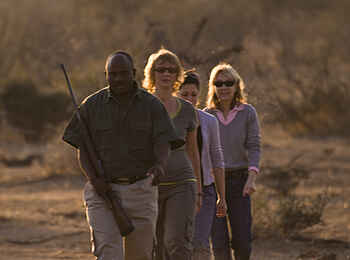 Tuli Safari Lodge Mashatu: Gänsemarsch