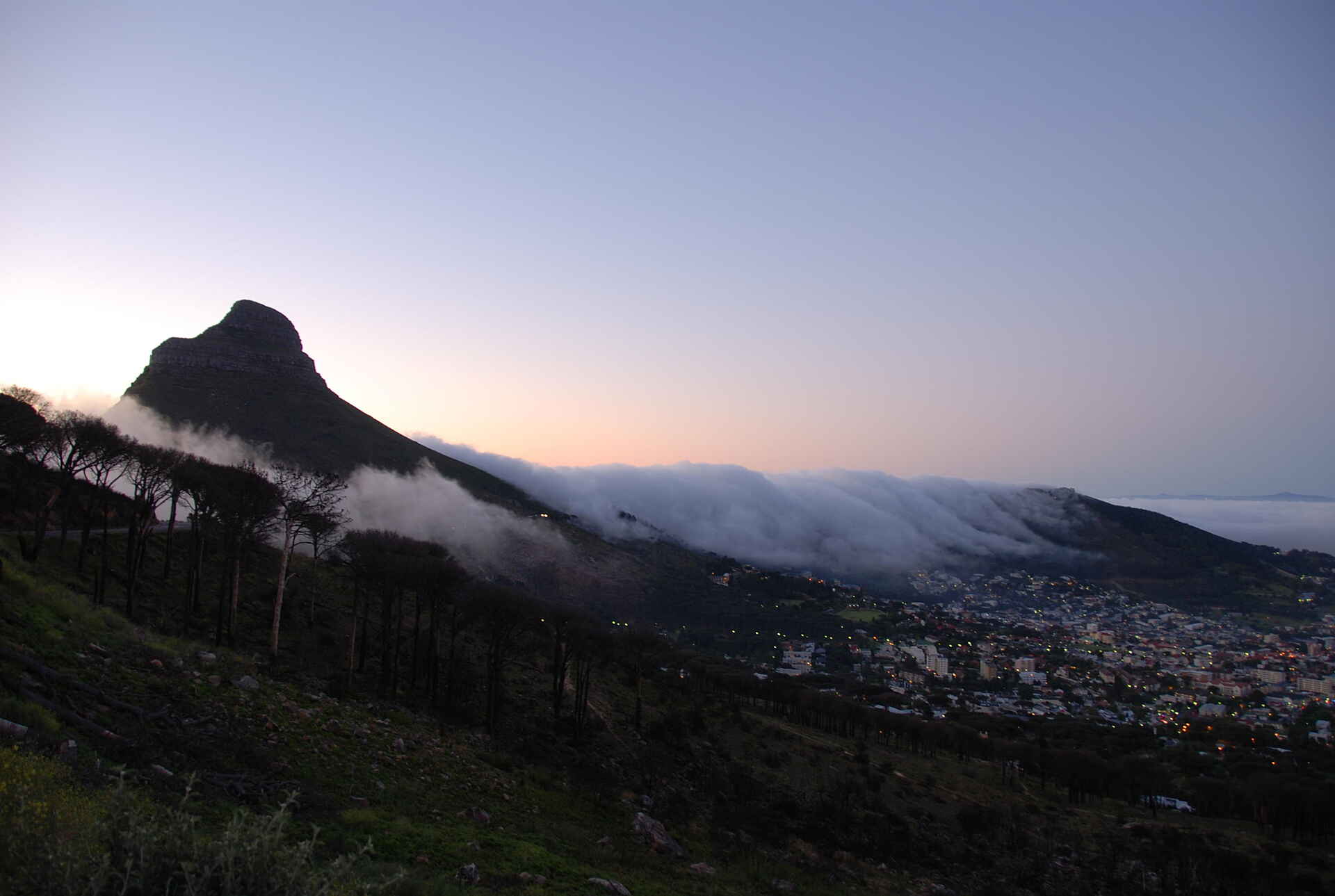 Abbey Manor Luxury Guesthouse: Blick auf die Stadt