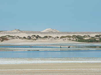 Hoanib Skeleton Coast Camp: Küstenlandschaft Hoanib Skeleton Coast Camp: Küstenlandschaft