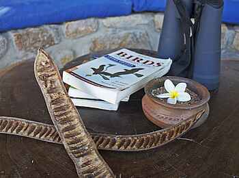 Kaya Mawa: Dekoration