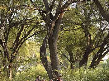 Kichaka Expeditions: Wanderung durch den Nationalpark