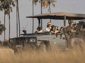 Little Mombo Camp: Auf der Pirsch