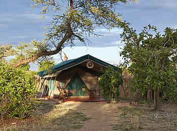 Mdonya Old River Camp: Gästezelt unter Akazie