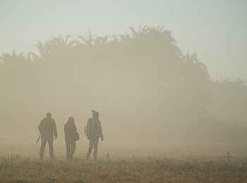 Mukambi Fig Tree Bush Camp: Eine Walking Safari im Dunst