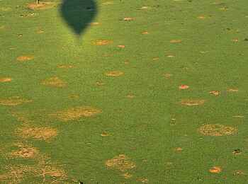 Murchison Falls Ballonfahrt: Schatten auf dem Savannengras