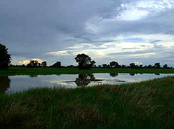 Nanzhila Plains Safari Camp: Stilles Gewässer Nanzhila Plains Safari Camp: Stilles Gewässer