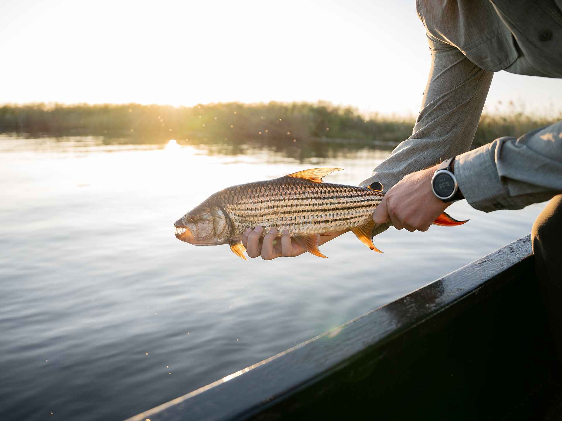 Nxamaseri Island Lodge: Catch and Release Angeln Nxamaseri Island Lodge: Catch and Release Angeln