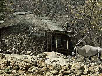 Ongava Lodge: Oryx vor den Hütten Ongava Lodge: Oryx vor den Hütten