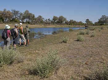 Selinda Canoe Trail: Wanderung