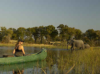 Selinda Explorers Camp: Tierbeobachtung vom Kanus aus Selinda Explorers Camp: Tierbeobachtung vom Kanus aus