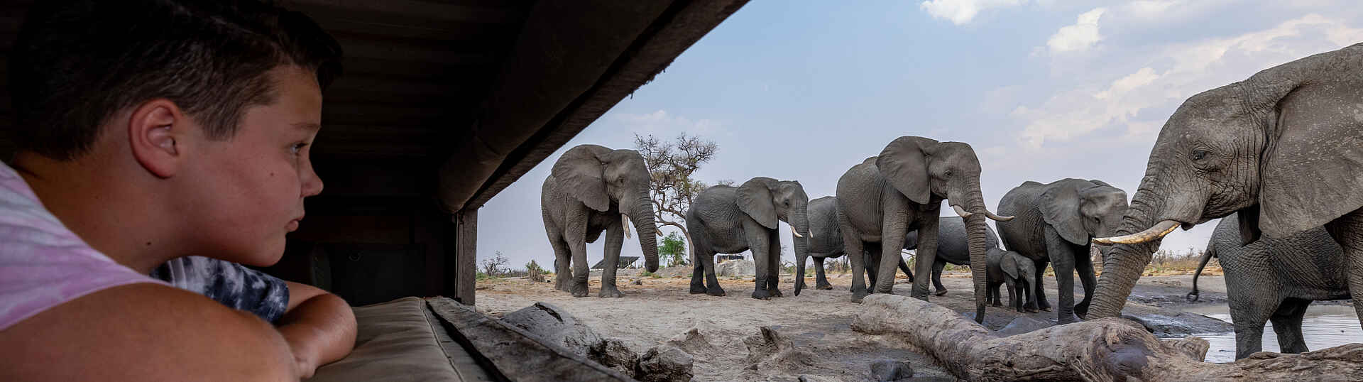 Skybeds: im Untergrund-Versteck Elefenaten im Blick - beste Tierbeobachtungen vom Untergrund-Versteck aus