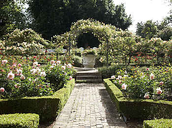 The Cellars-Hohenort Hotel & Spa: Blick in den Garten The Cellars-Hohenort Hotel & Spa: Blick in den Garten