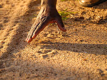 Cheetah Plains: Fährtenlese Cheetah Plains: Fährtenlese