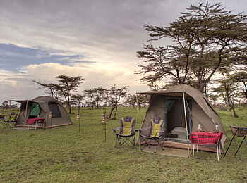 Naboisho Camp: Private Zelte beim Fly-Camping