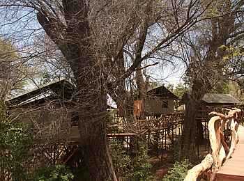 Sarara Tree: Gästezelte unter Bäumen Sarara Tree: Gästezelte unter Bäumen