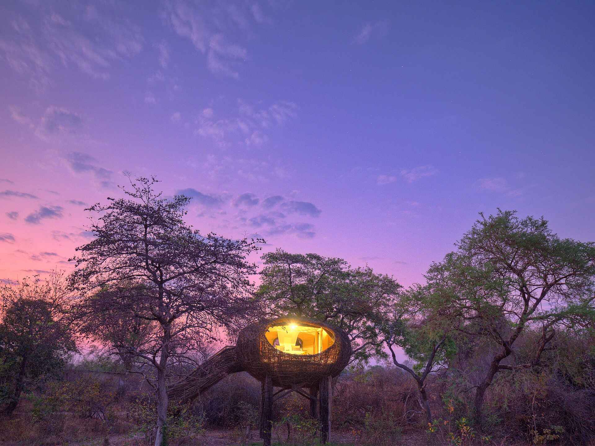 Chisa Busanga Camp: Abendstimmung im Nest