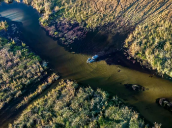 Mogogelo Camp: Elefanten im Okavango-Delta Mogogelo Camp: Elefanten im Okavango-Delta