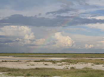 Nata Bird Sanctuary: Wolkenberge Nata Bird Sanctuary: Wolkenberge