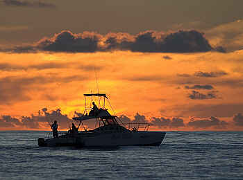 North Island: Sundowner Fahrt mit dem Boot