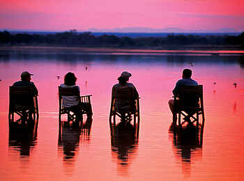 Robin Pope Safaris: Letztes Licht für Brachschwalben
