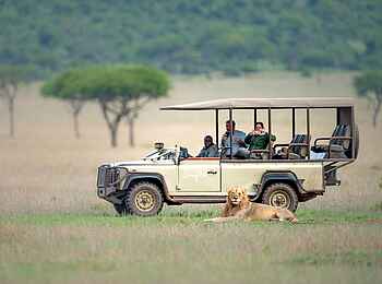 Singita Faru Faru: Löwenbegegnung bei einer Pirschfahrt