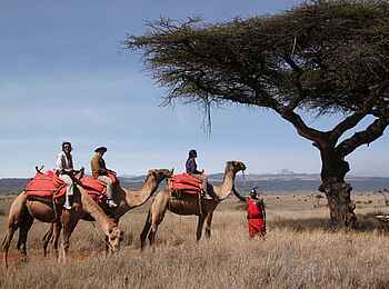 Sirikoi: Kamel Trekking