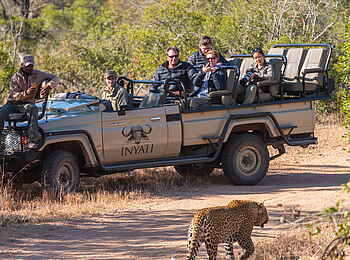 Inyati Game Lodge: Pirschfahrt