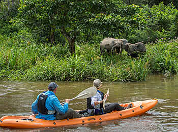 Mboko Camp: Zwei Waldelefanten am Flussufer