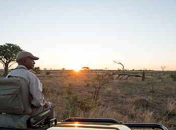 Singita Ebony Lodge: Tracker auf Pirsch Singita Ebony Lodge: Tracker auf Pirsch