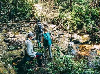 Greystoke Mahale Lodge: Schimpansen Tracking Greystoke Mahale Lodge: Schimpansen Tracking