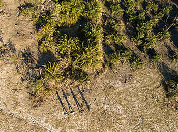 Kala Camp: Walking Safari Kala Camp: Walking Safari