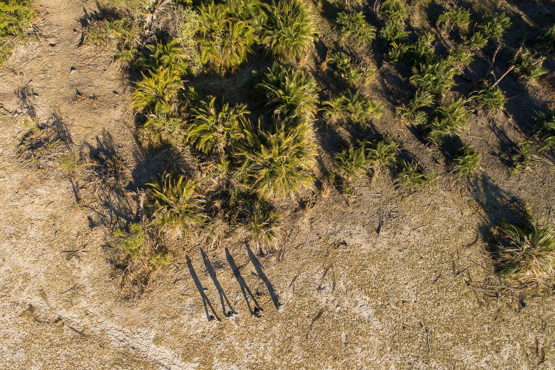 Kala Camp: Walking Safari