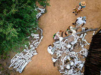 Kambaku Safari Lodge Südafrika: Der Erkundungspfad Kambaku Safari Lodge Südafrika: Der Erkundungspfad