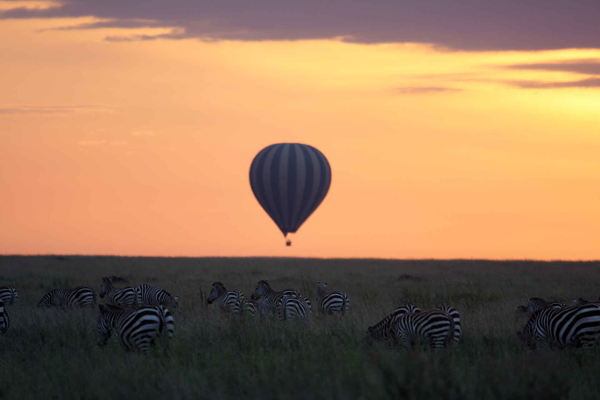 Lemala Ewanjan: Heißluftballonfahrt Lemala Camps, Lemala Ewanjan, Serengeti, afrikarma, afrikarma Safaris, afrikarma.de, Heißluftballon, Sonnenuntergang, Zebras