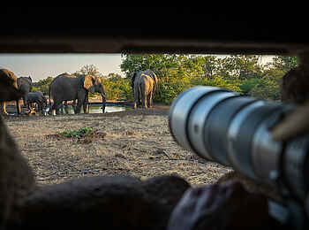 Mashatu Tent Camp: Fotohide Mashatu Tent Camp: Fotohide