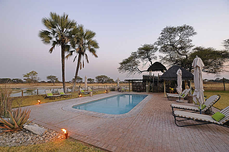 Onguma Bush Camp: Swimming Pool und Palmen Onguma Bush Camp: Swimming Pool und Palmen