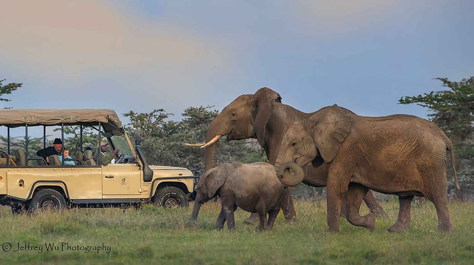 Porini Rhino Camp: Game Drive Porini Rhino Camp: Game Drive