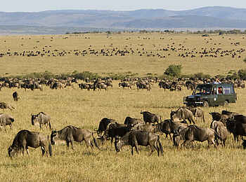 Rekero Camp: Safari durch die Savanne Rekero Camp: Safari durch die Savanne