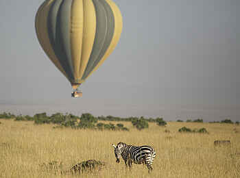 Sala's Camp: Heißluftballon und Zebra Sala's Camp: Heißluftballon und Zebra