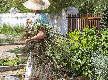 Babylonstoren: Kräutergarten