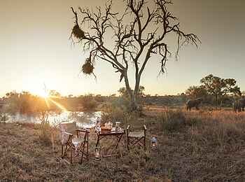 King's Camp: Dinner am Wasserloch King's Camp: Dinner am Wasserloch