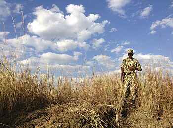 Ntemwa Busanga Bushcamp: Ein Guide im Busch
