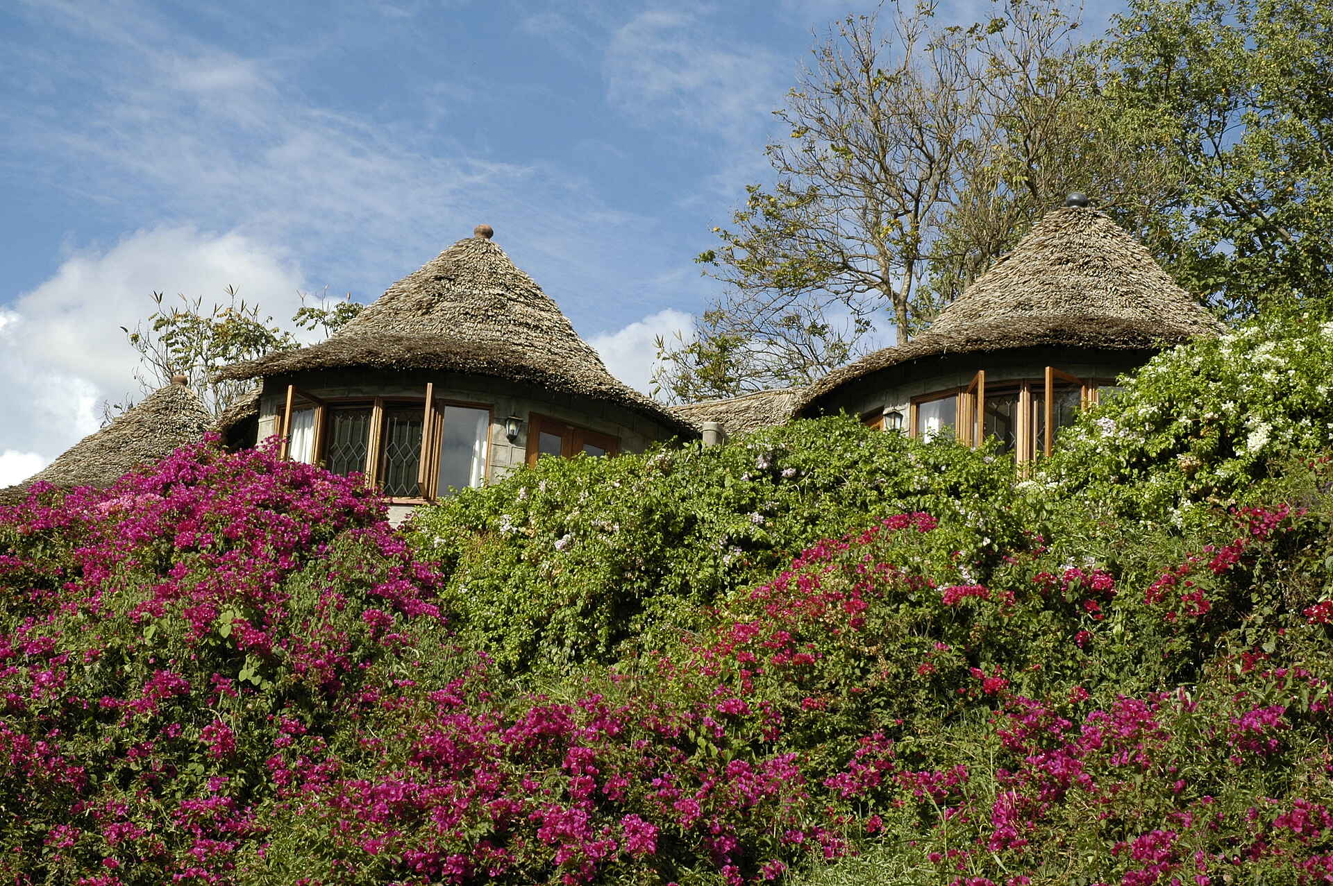 Arusha Serena Hotel: Blick auf die Cottages