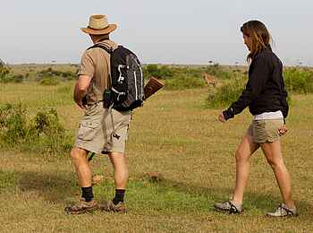 Elephant Pepper Camp: Guided Walk Elephant Pepper Camp: Guided Walk