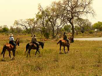 Kujwana Camp: Ausritt durchs Grün
