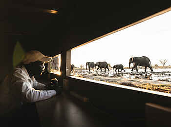 Linkwasha Camp: Hide am Wasserloch Linkwasha Camp: Hide am Wasserloch