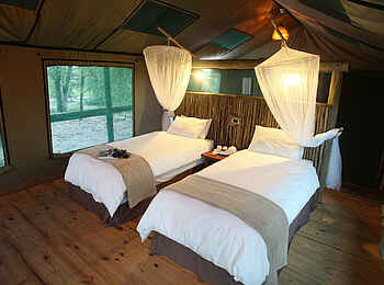 Nata Lodge: Einzelbetten im Gästezelt Nata Lodge: Einzelbetten im Gästezelt