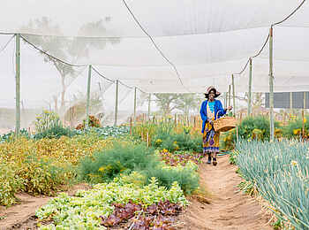 Saseka Tented Camp: Ein Community Projekt Saseka Tented Camp: Ein Community Projekt