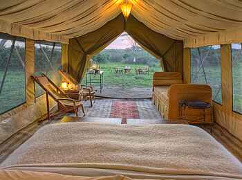 Serengeti under Canvas: Doppelbett Serengeti under Canvas: Doppelbett